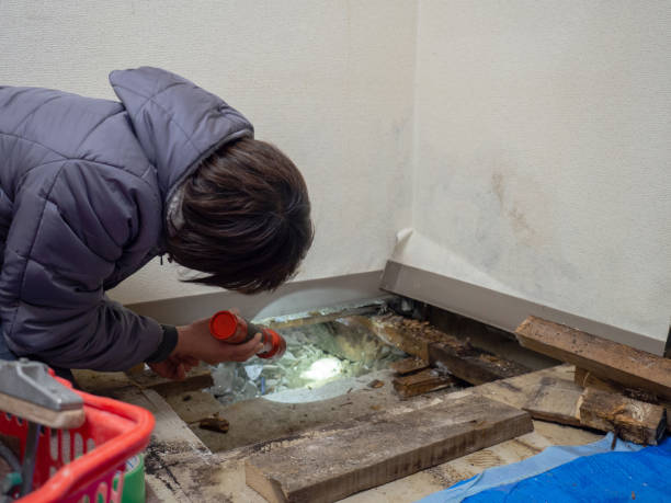 Best Forensic Mold Investigation  in Fort Mckinley, OH