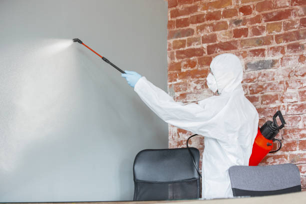 Best Mold Damage Restoration  in Fort Mckinley, OH