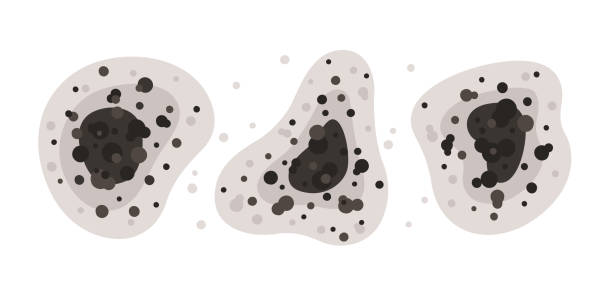 Best Mold-Related Health Consultation  in Fort Mckinley, OH